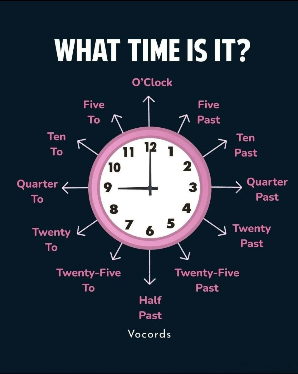 mytimetable翻译中文,my treat this time翻译