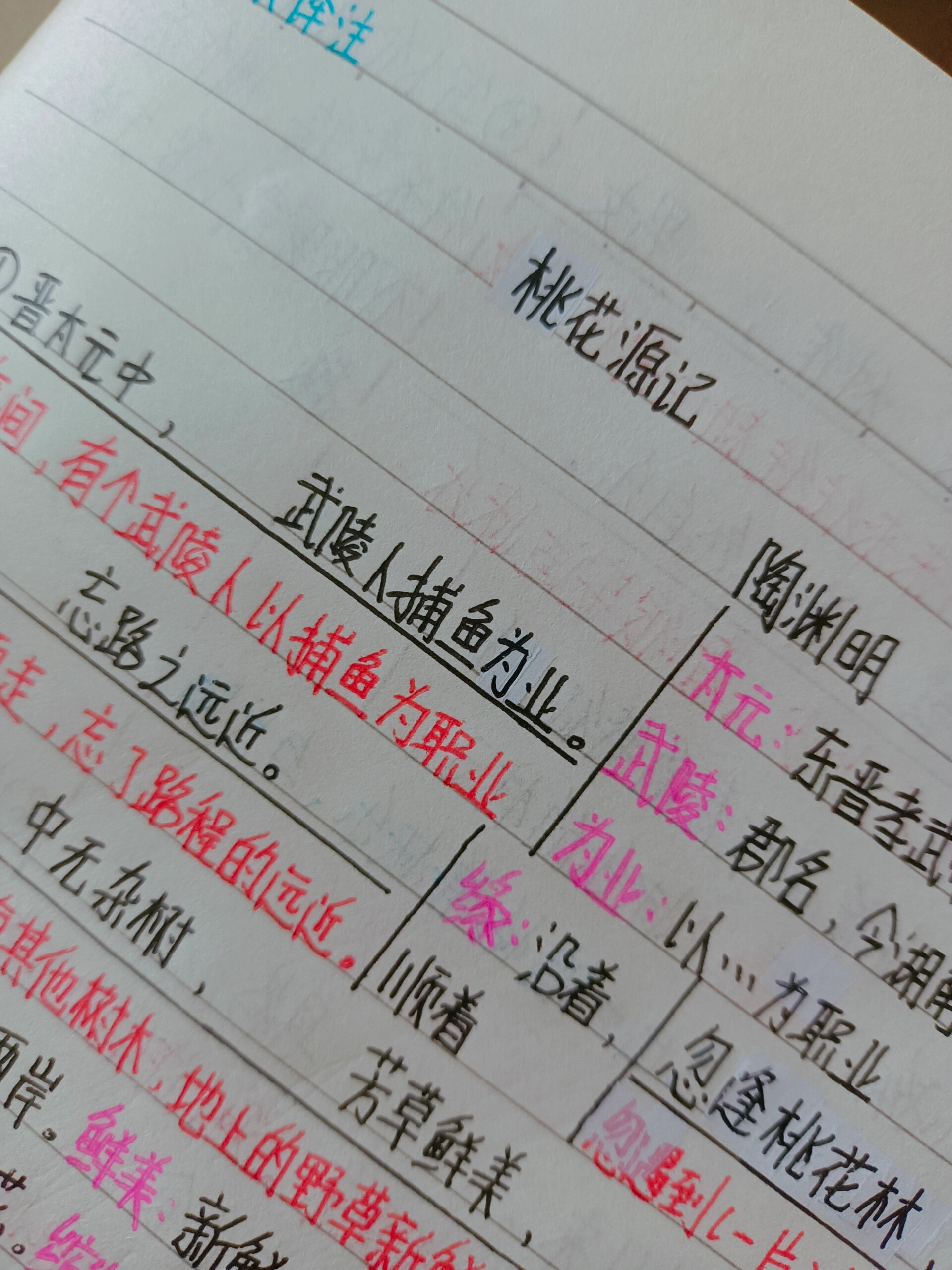 八下语文第九课《桃花源记》笔记分享     红色是翻译,粉色是注释,两