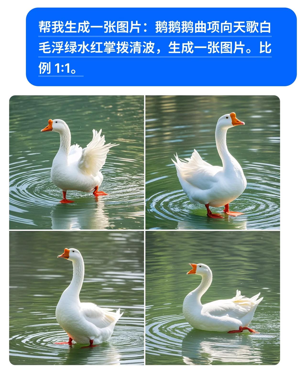 凤头鹅简介图片