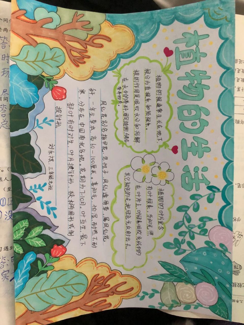 科学手抄报植物 科学手抄报.植物的生活