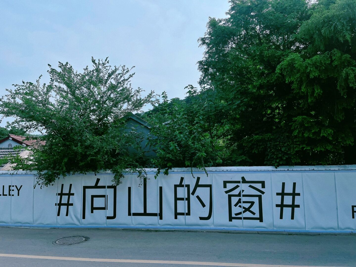 南京最美栀子花海藏在响堂山谷里的艺术节 响堂已经去过n次了!