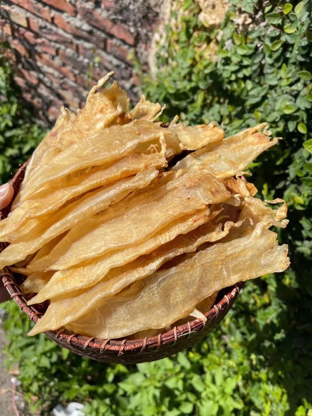 水晶鳘鱼胶 30头老老水晶鳘鱼胶