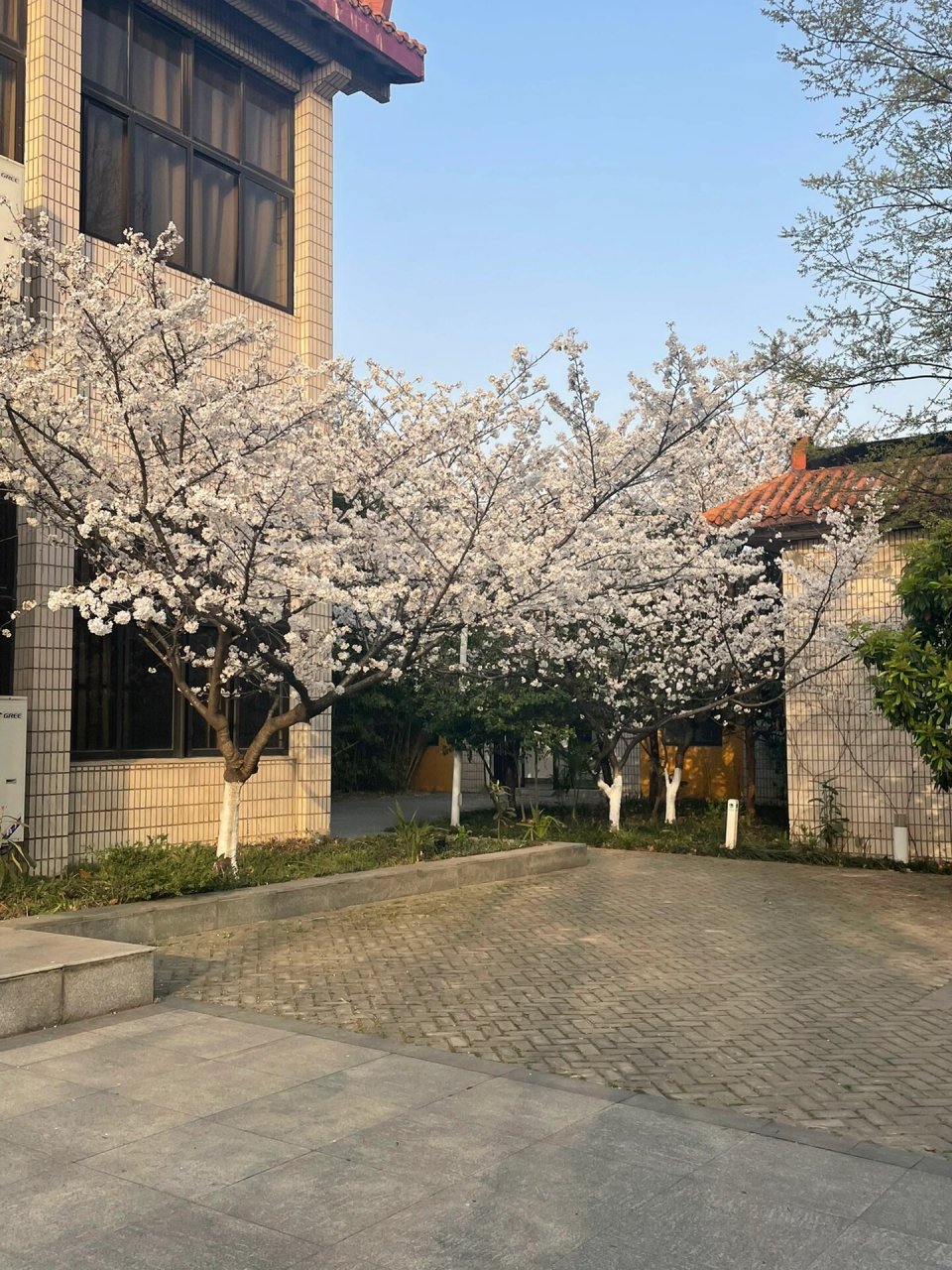 南京财经大学红山学院图片