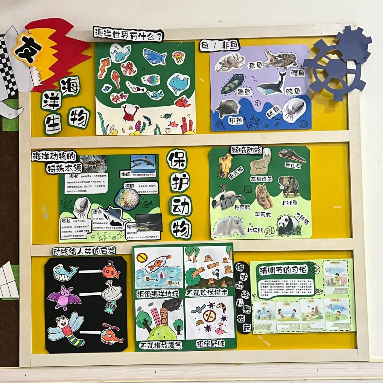 我的动物朋友 主题墙创设 四足动物 鸟类王国 海洋生物 保护动物