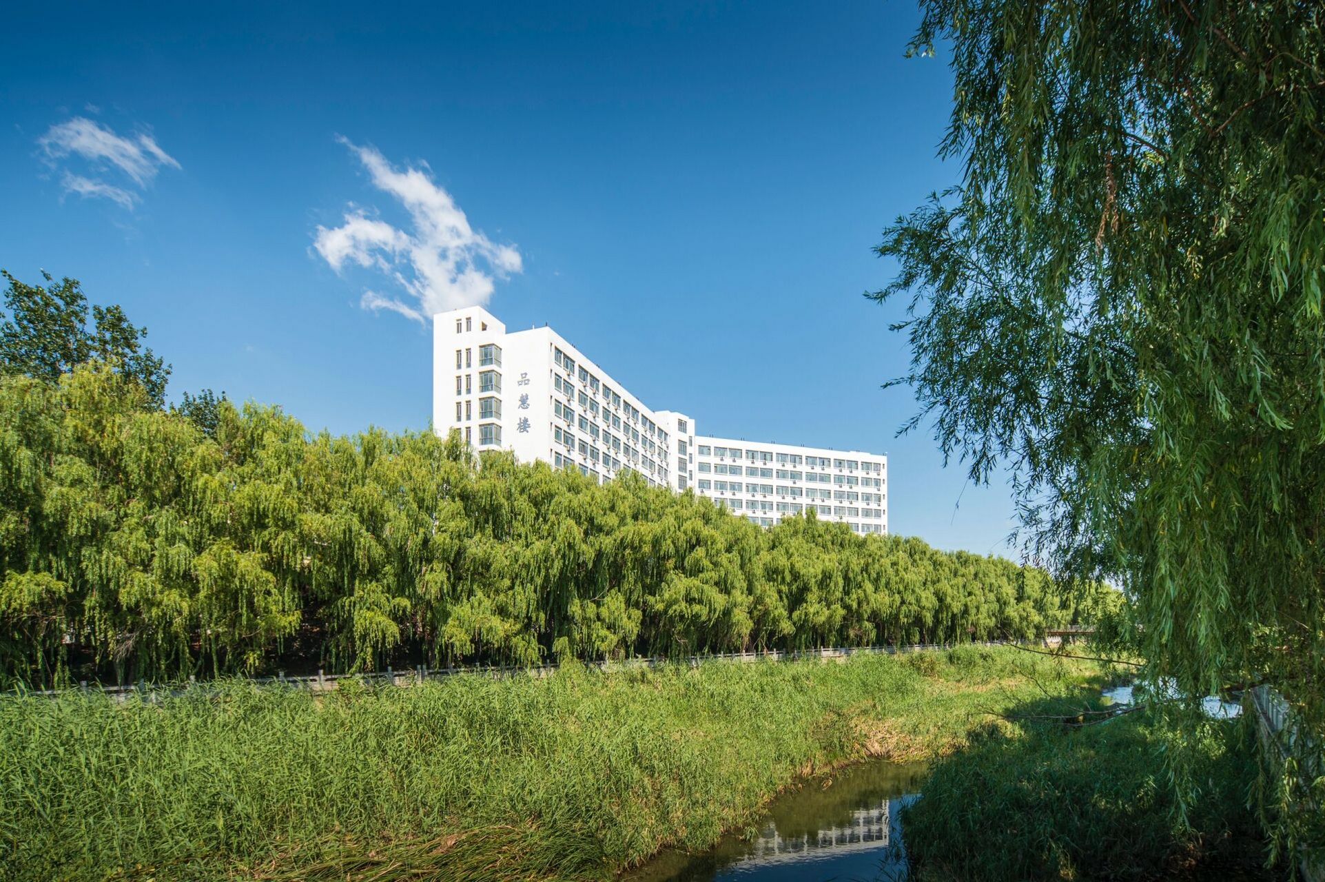 山东农业大学|给新同学看看泮河校区风景🥳 又是一年开学季,23级的