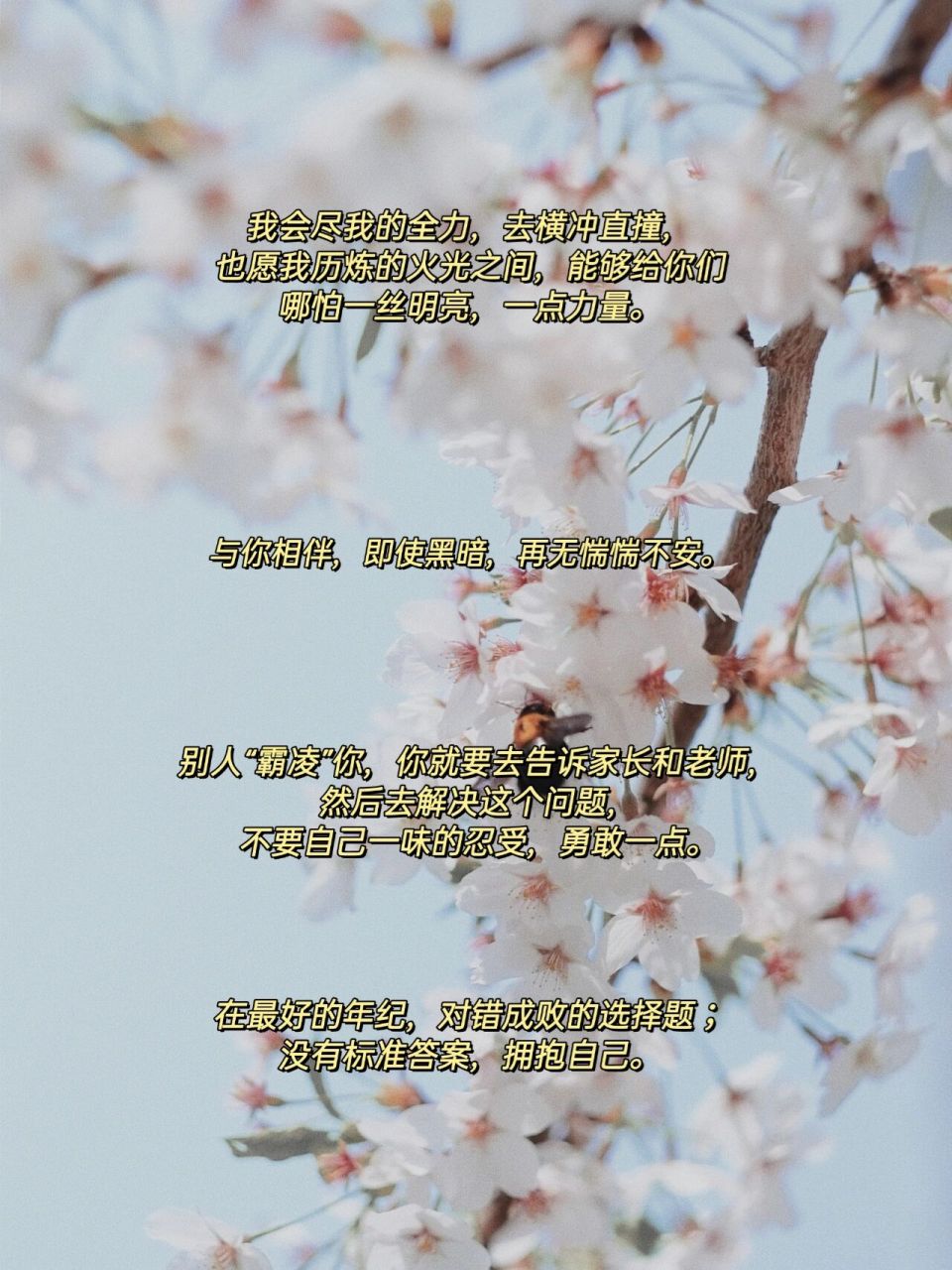 78金句宝藏|唐九洲·三秒可以说五遍我爱你 9999hello!