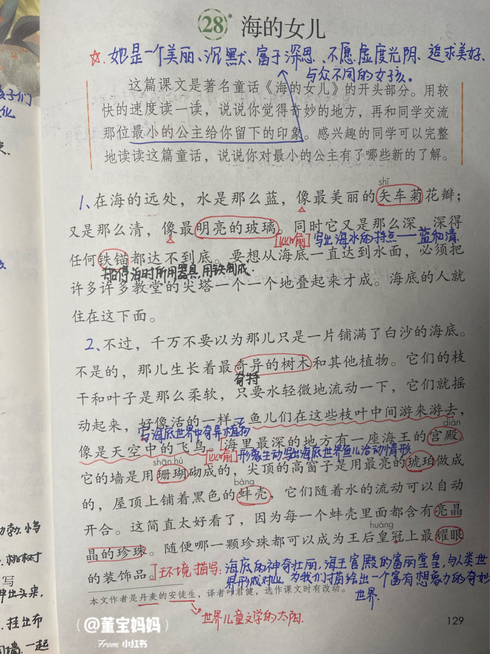 四年级下册语文第二十八课《海的女儿》课堂笔记94 四年级下册语文