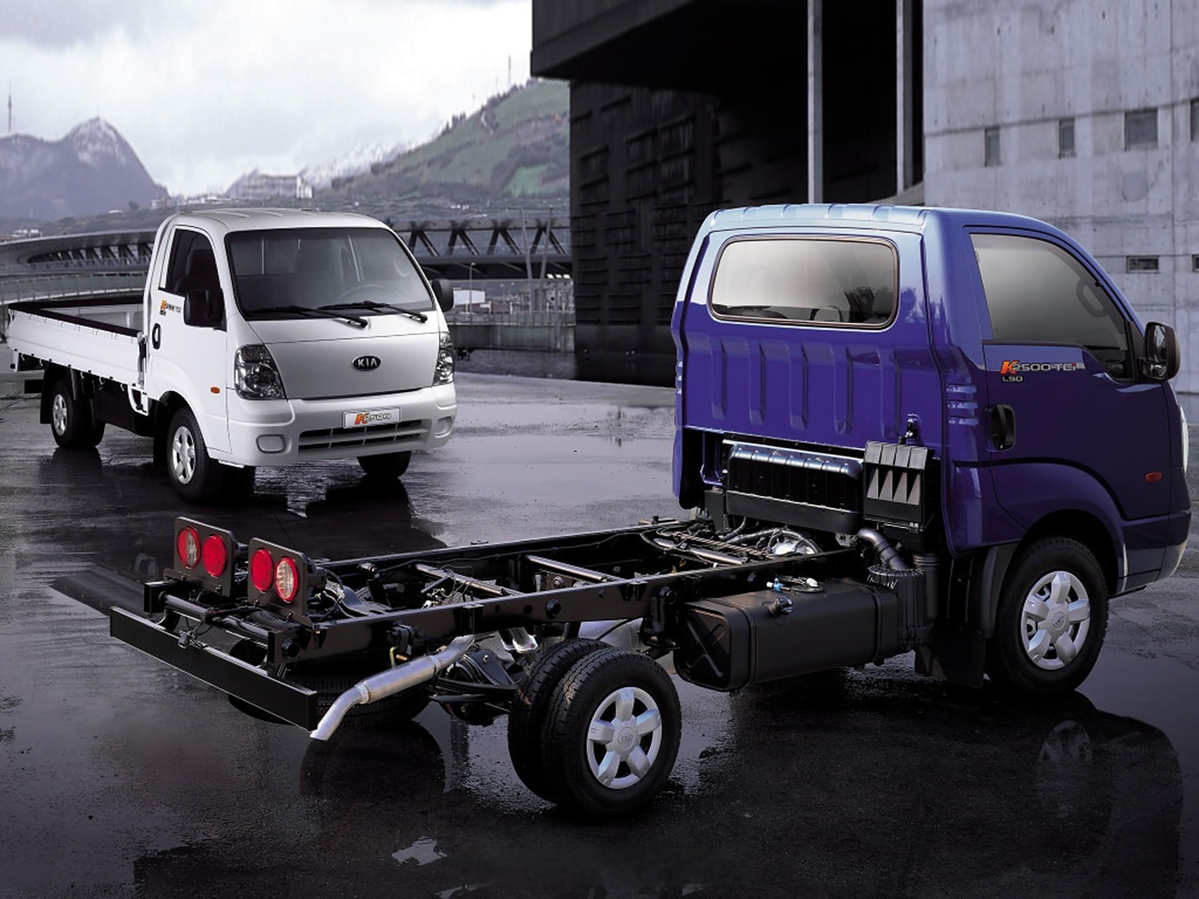 起亚面包子,没见过活体,跟besta,bongo之类的都不是一回事,貌似是k