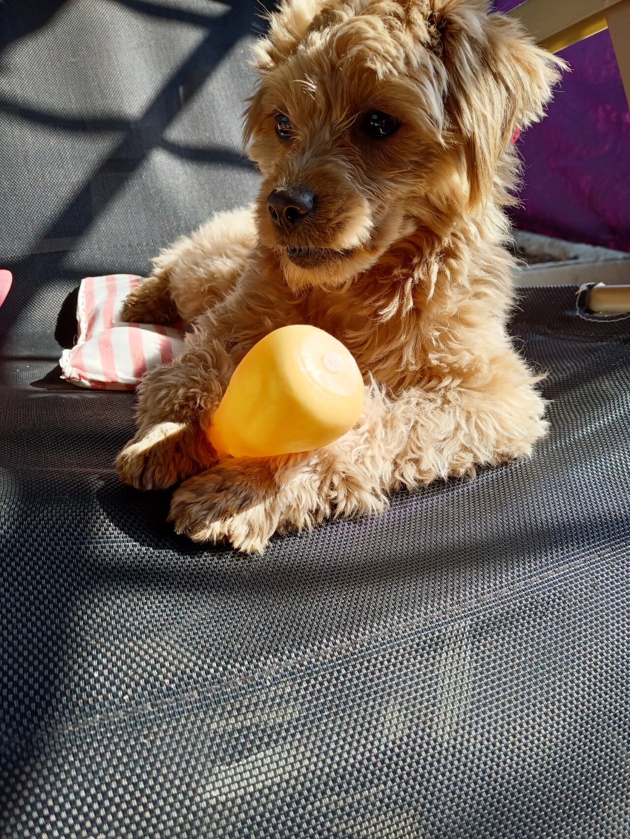 在家无聊的日子