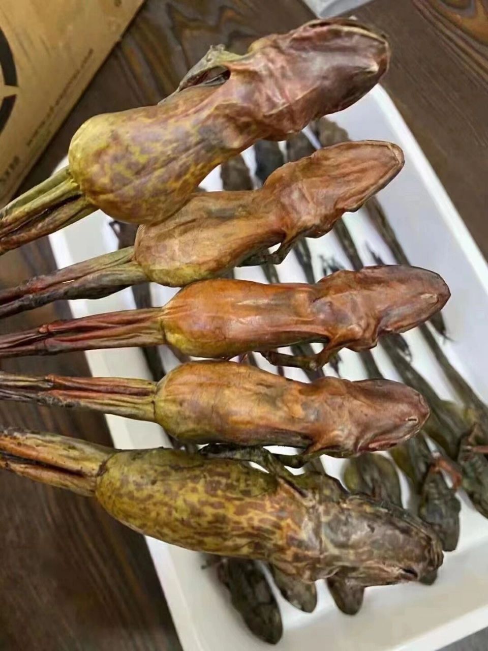 润肺佳品——长白山雪蛤 96 雪蛤 又叫长白山林蛙 96 入秋