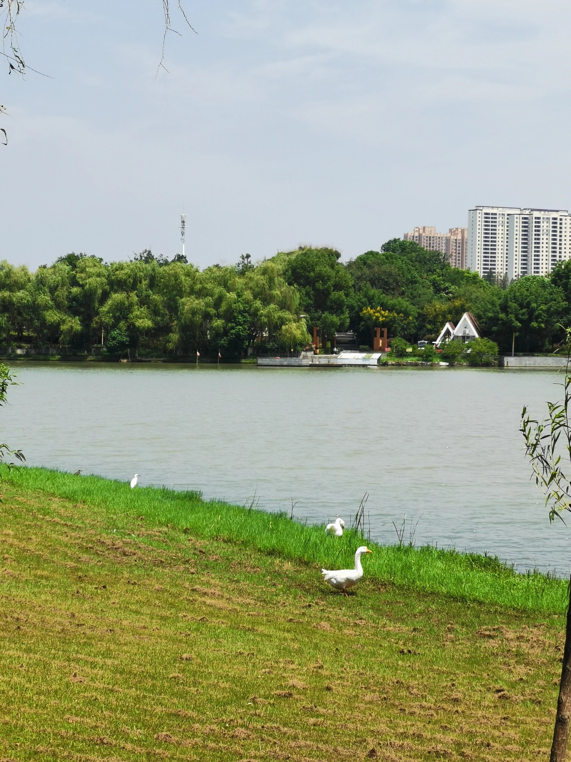 汉川免费一日游攻略 第一次到汉川市内,路线如下: 先到汉川公园散步游