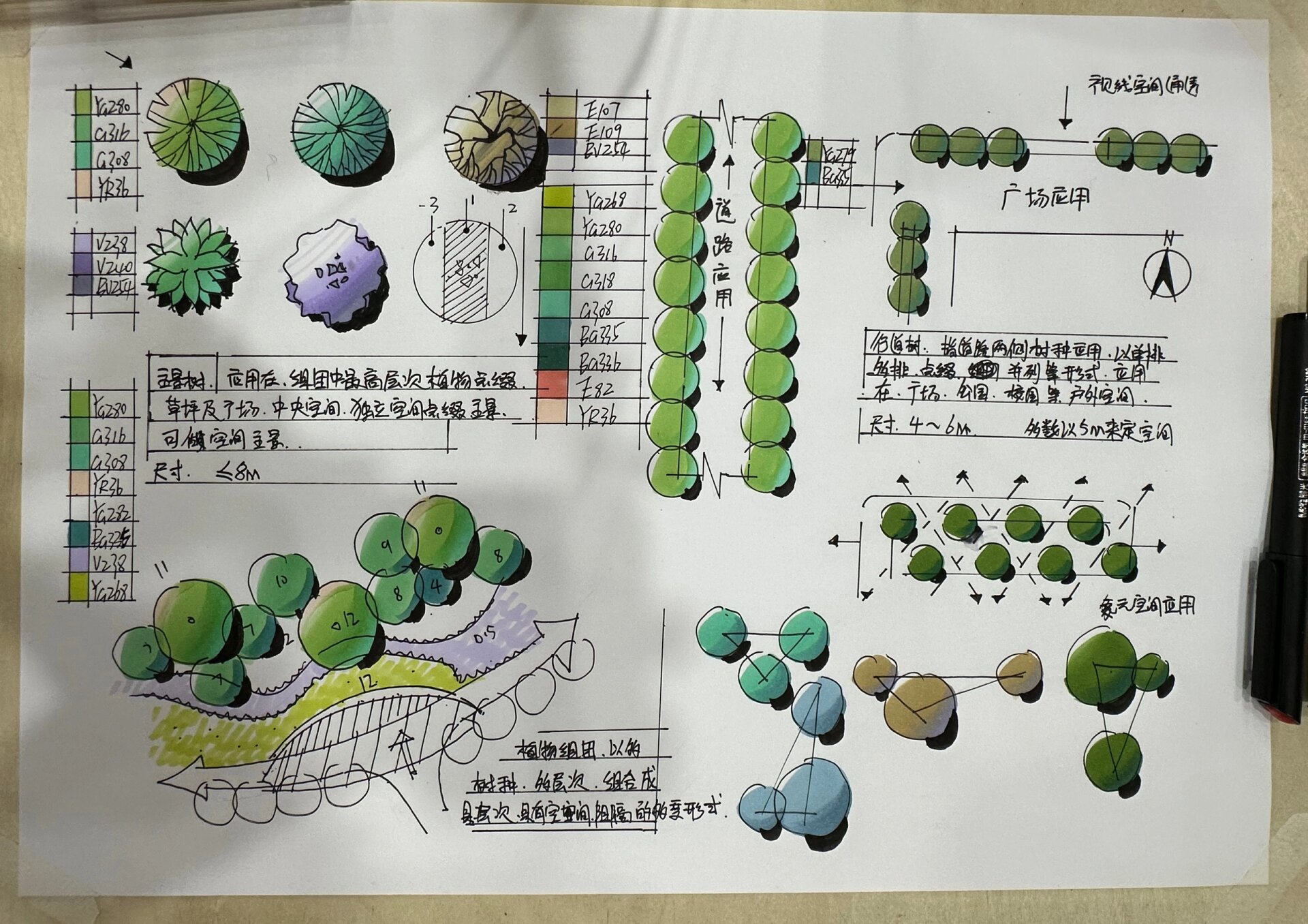 植物群落平面图图片