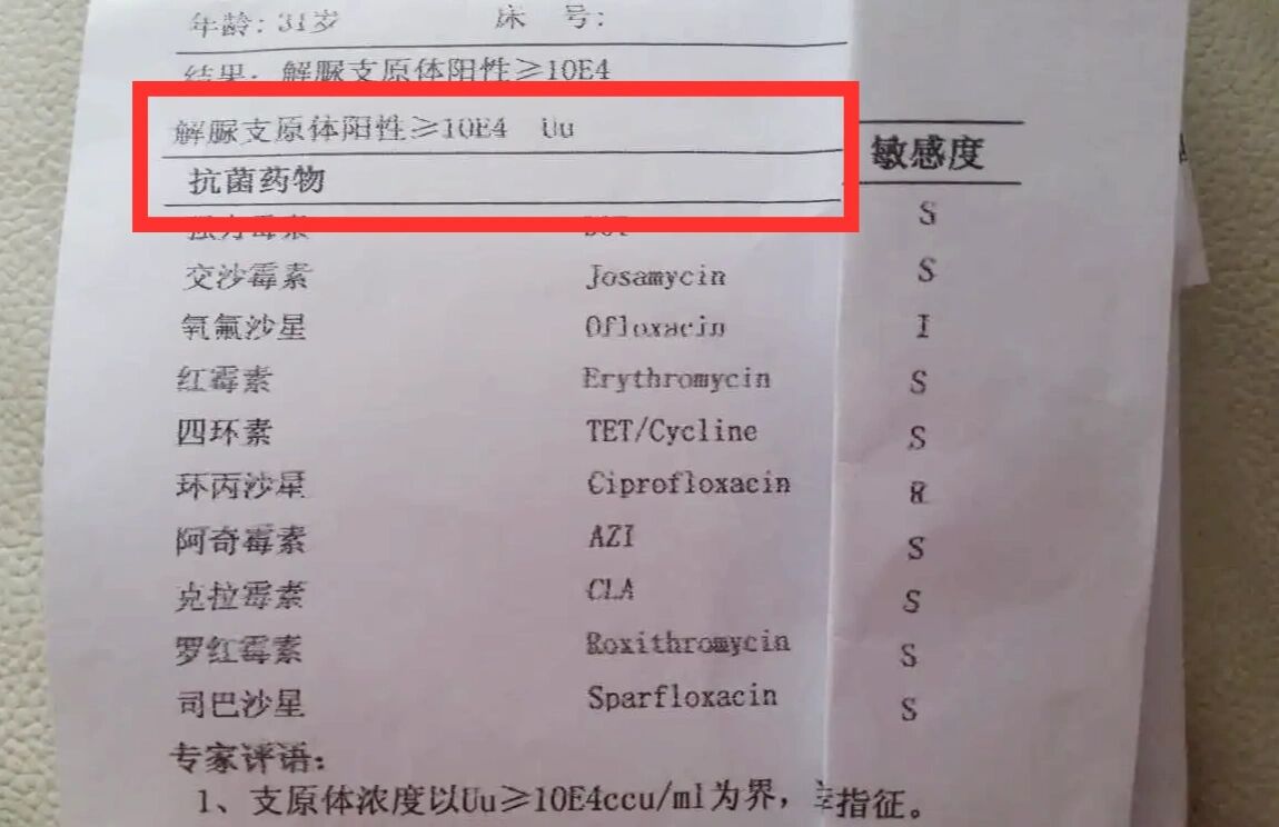 结果出来了,解脲支原体阳性 今天来了一位男性患者,一直有尿频尿急等