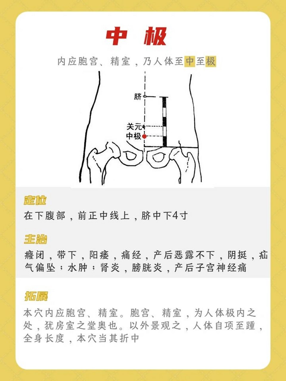 中极的准确位置图片图图片