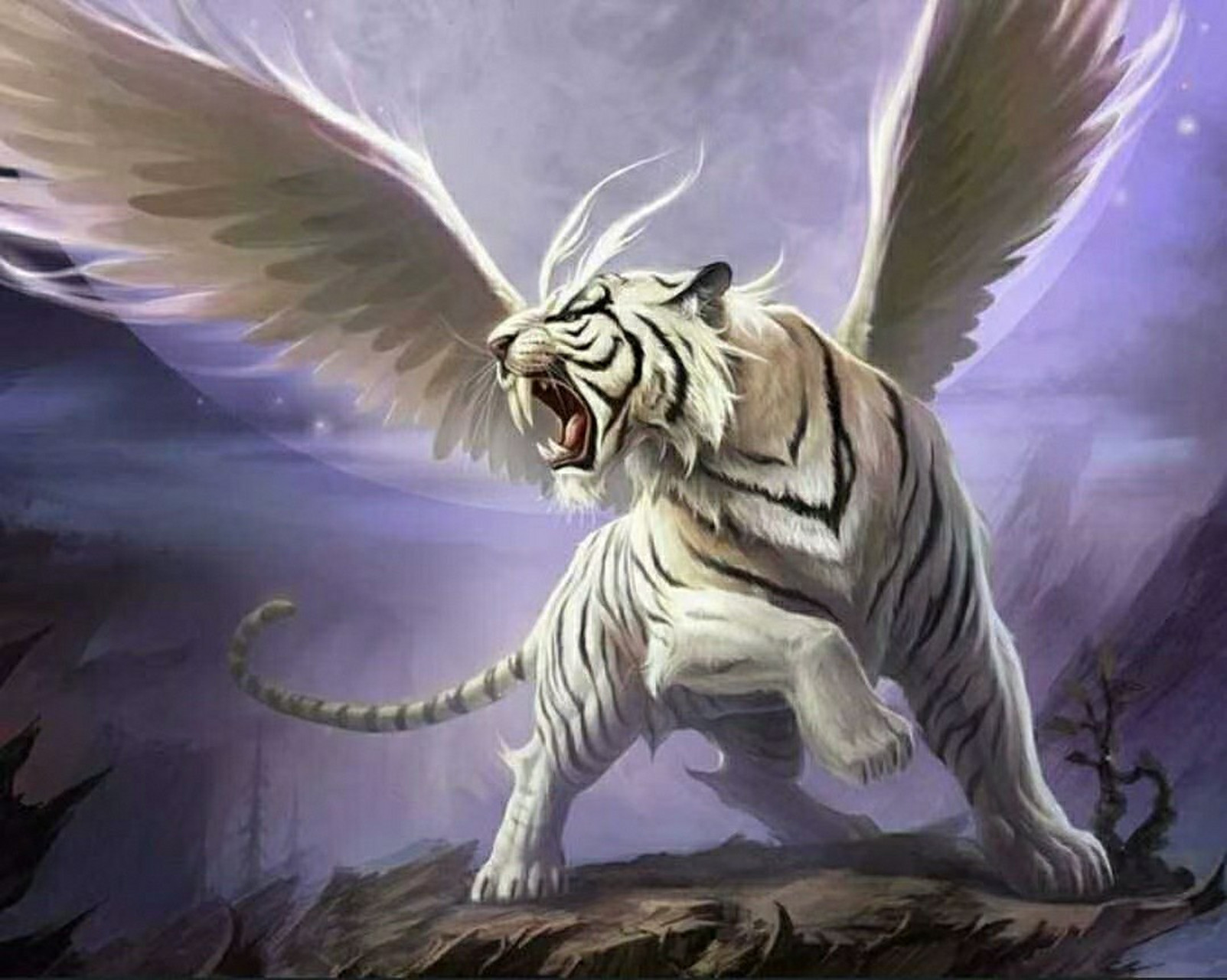 虎具有避邪,禳灾,祈丰及惩恶的扬善,发财致富,喜结良缘等多种神力.