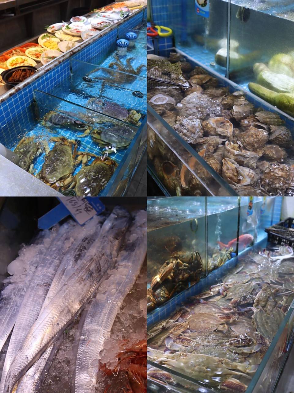 来舟山还得吃平价海鲜大排档97就藏在滨港路 真没想道滨港路竟然藏