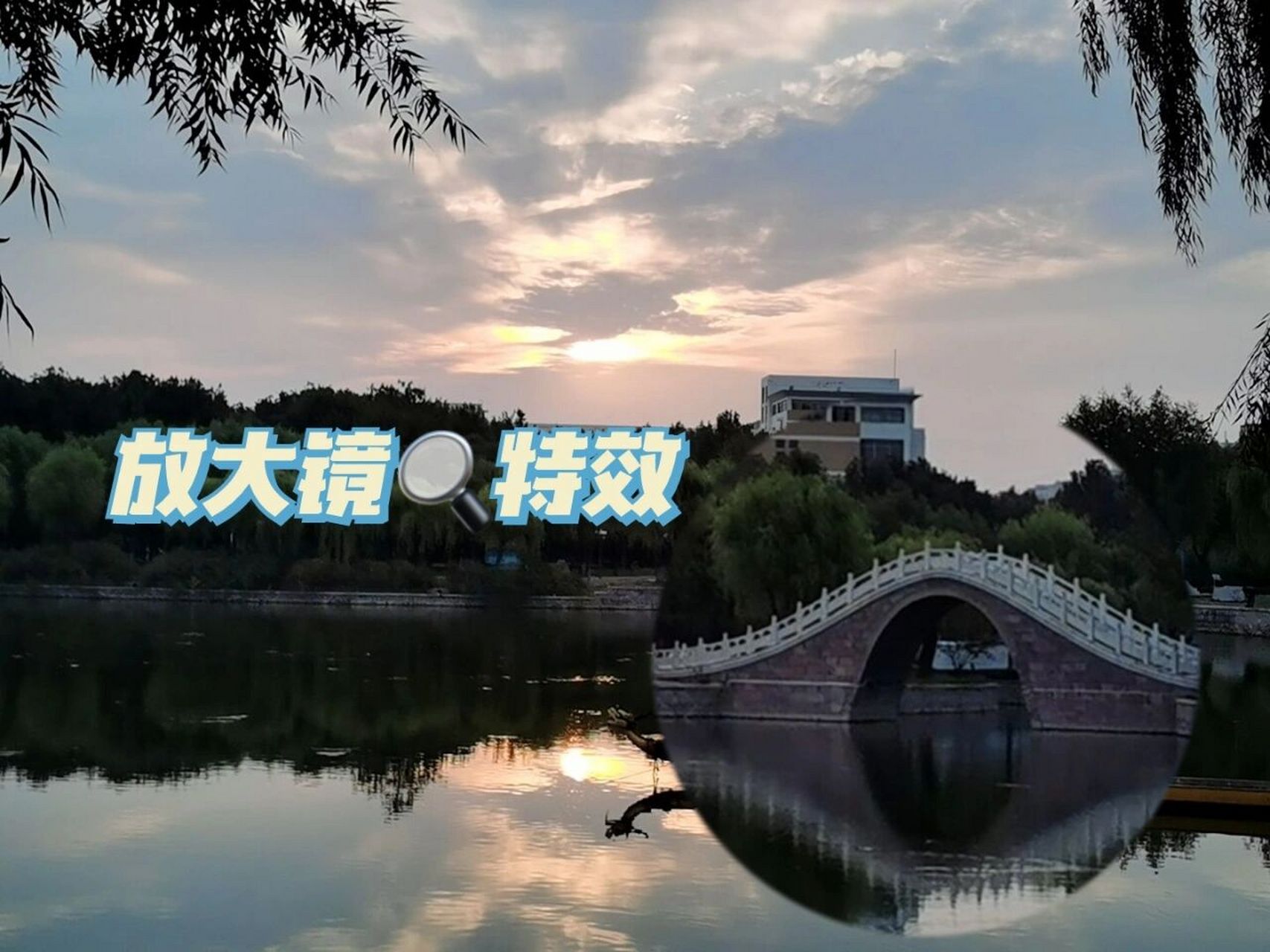 给大家出一个怎么用醒图做放大镜效果今天给朋友拍照片的时候想用