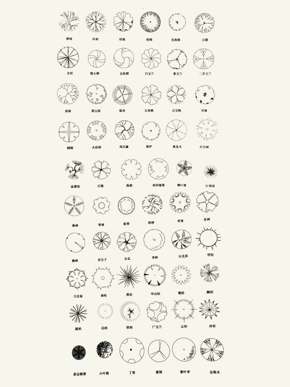 植物图例手绘100种图片