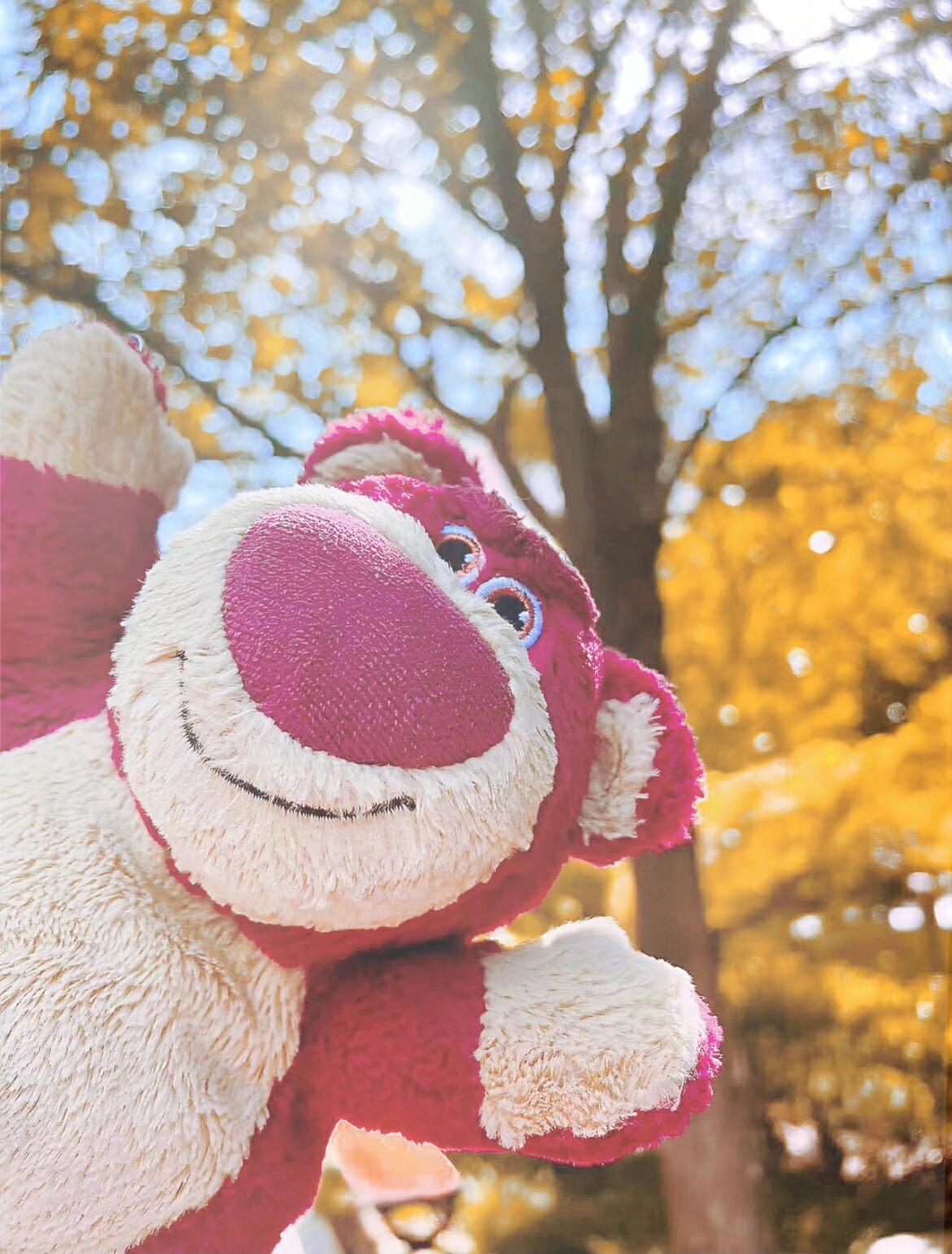 选个粉色草莓熊当头像701570157015