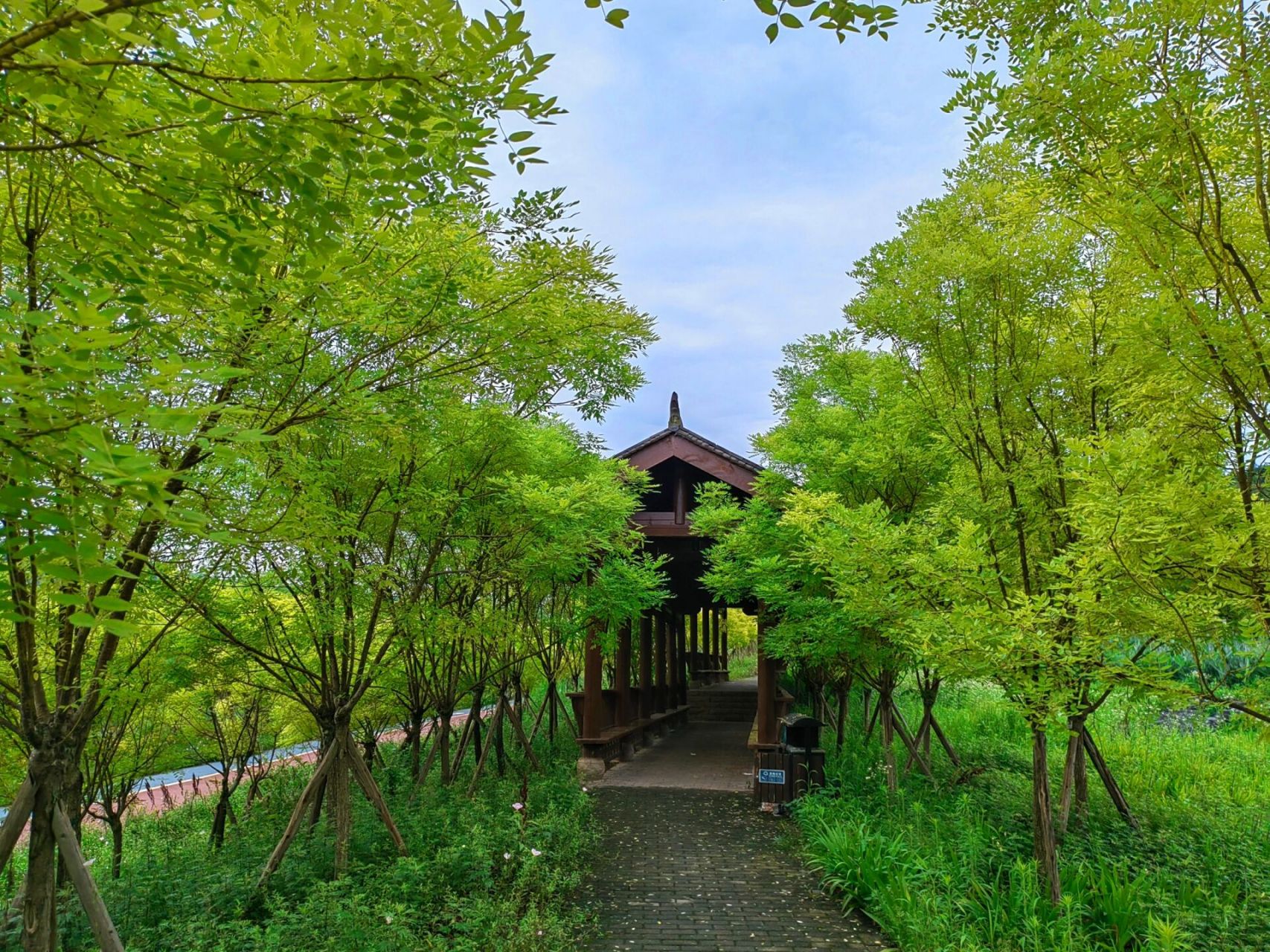 夏日玩水好去处--竹溪公园 推荐指数94:999999(没有看到厕所)