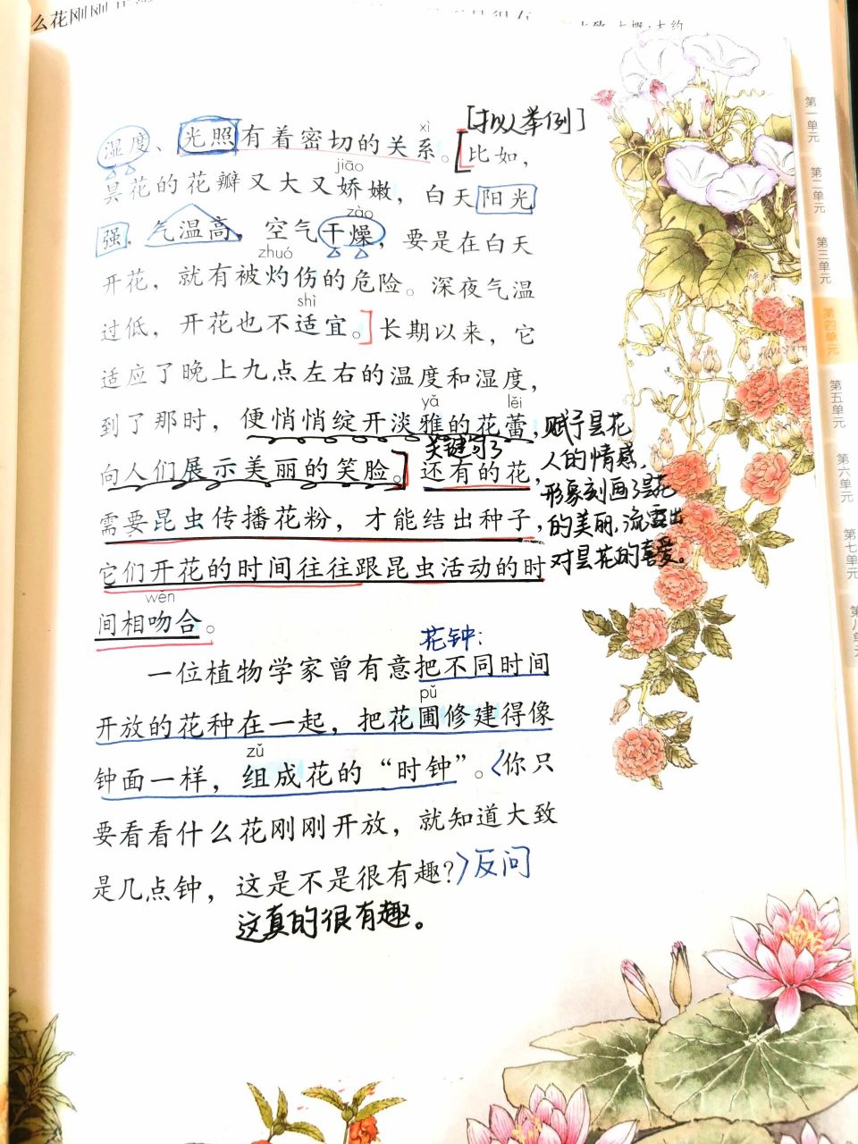 三下语文课本《花钟》 三年级下册语文第四单元《花钟》课本笔记