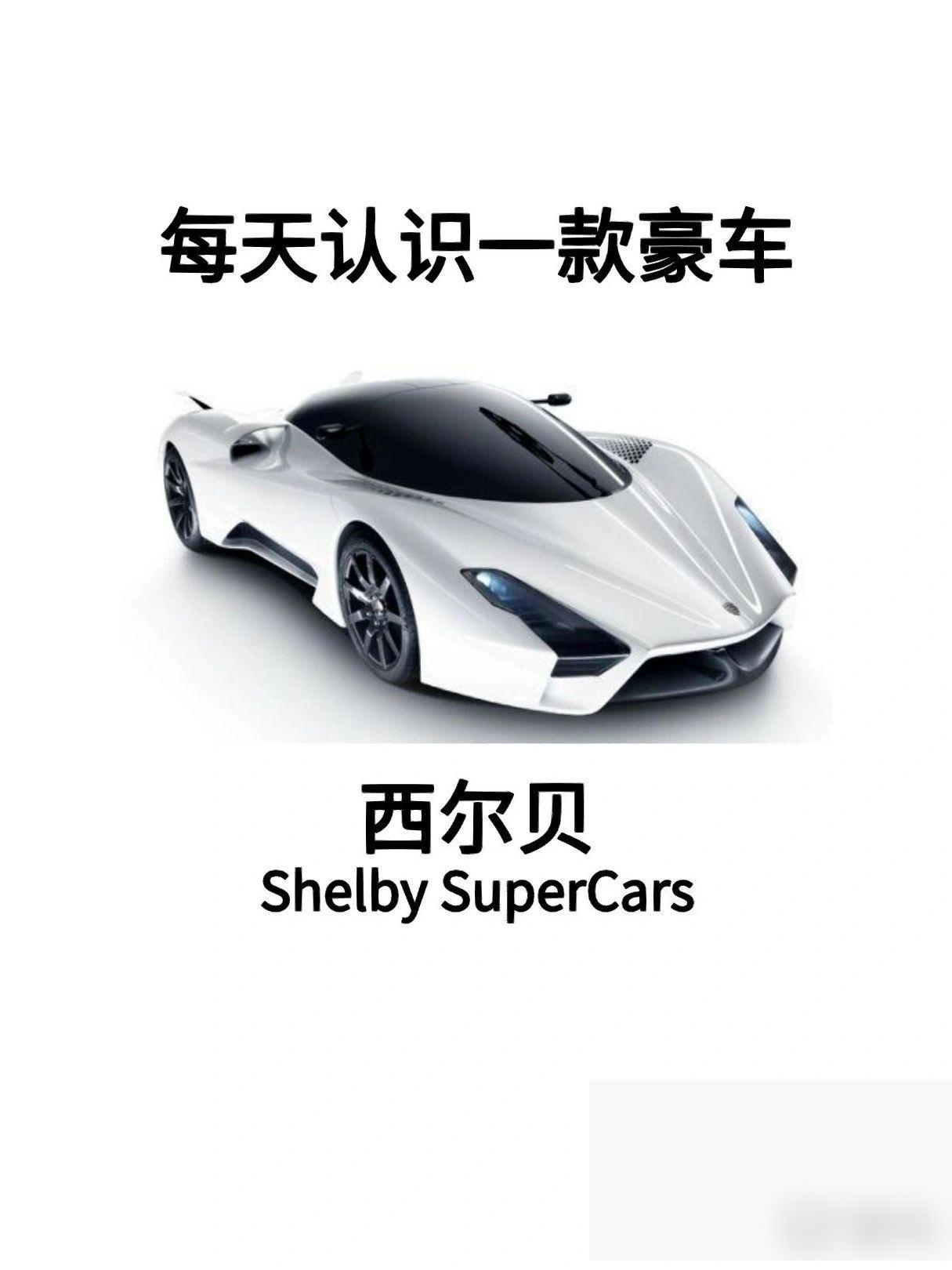 冠绝车坛的西尔贝大蜥蜴