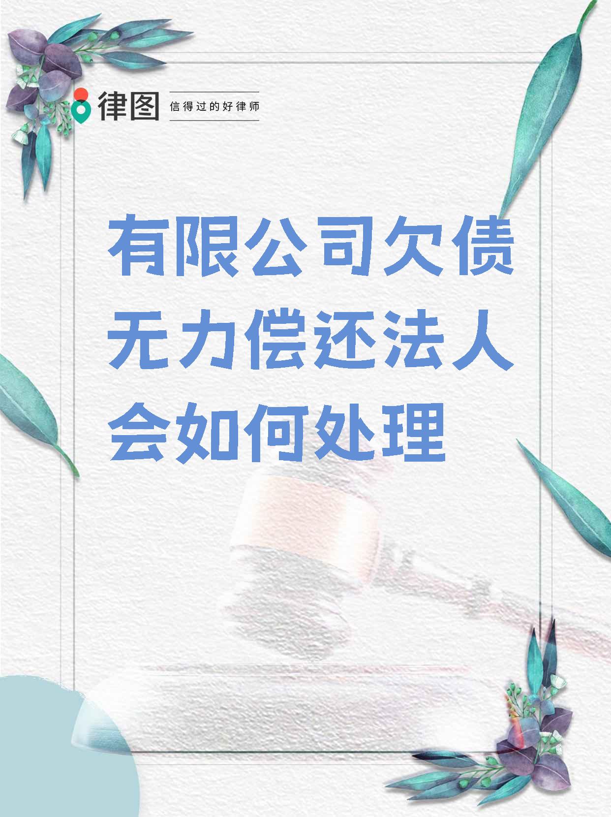 企业欠税法人无力偿还