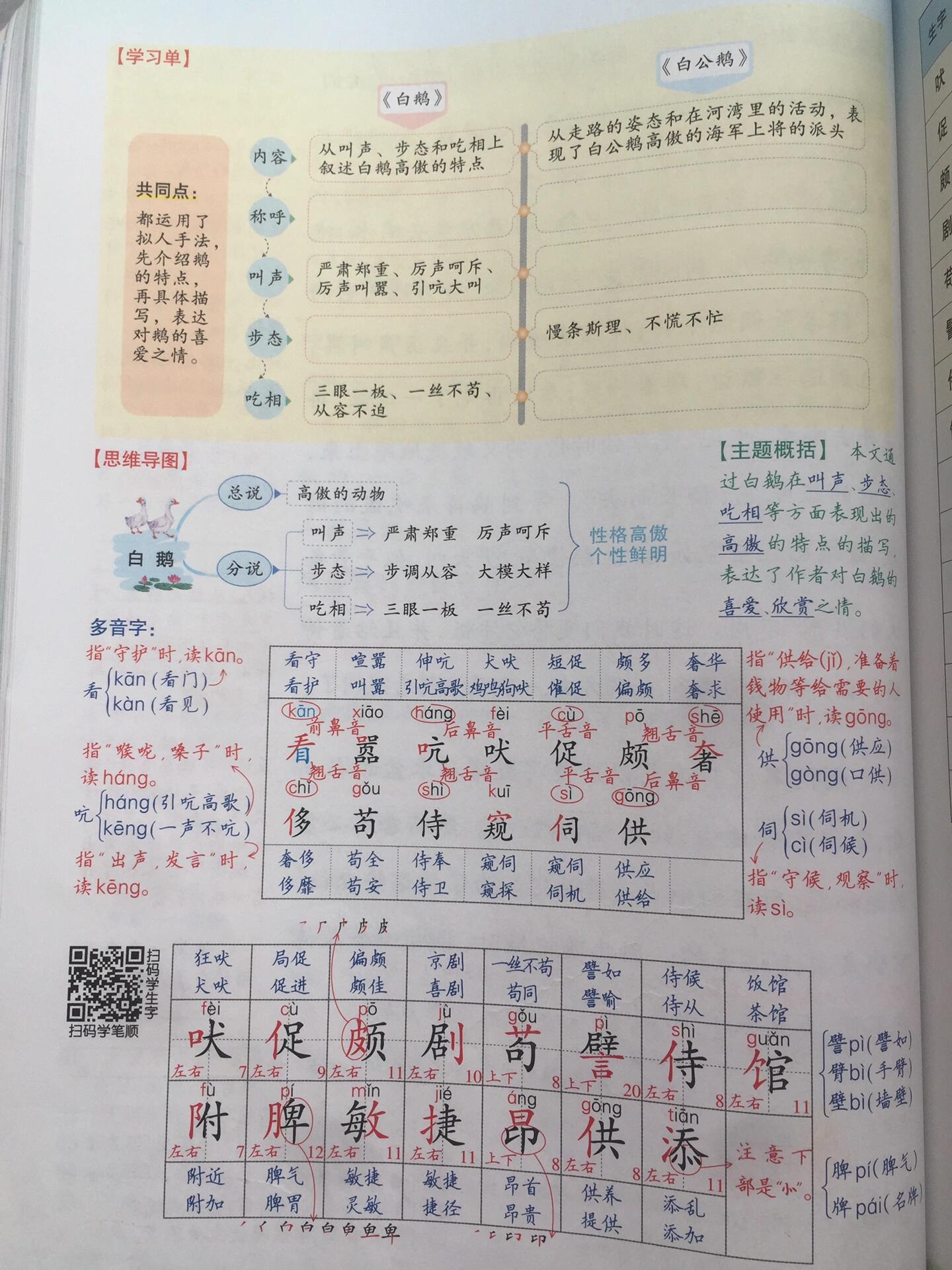 《白鹅》生字图片