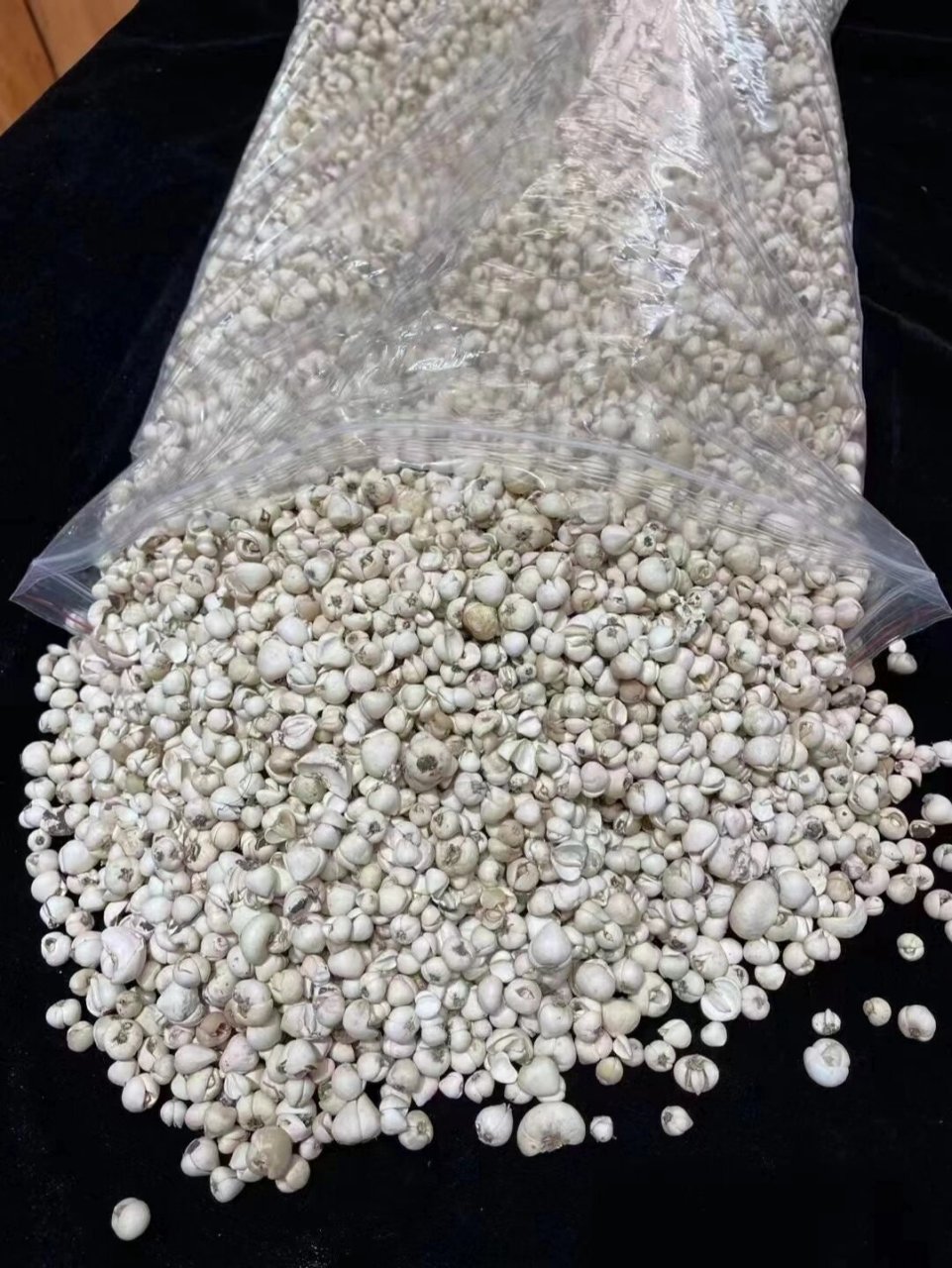 藏贝母多少钱一克7171  功效与作用 清热润肺,化痰止咳,散结消痈