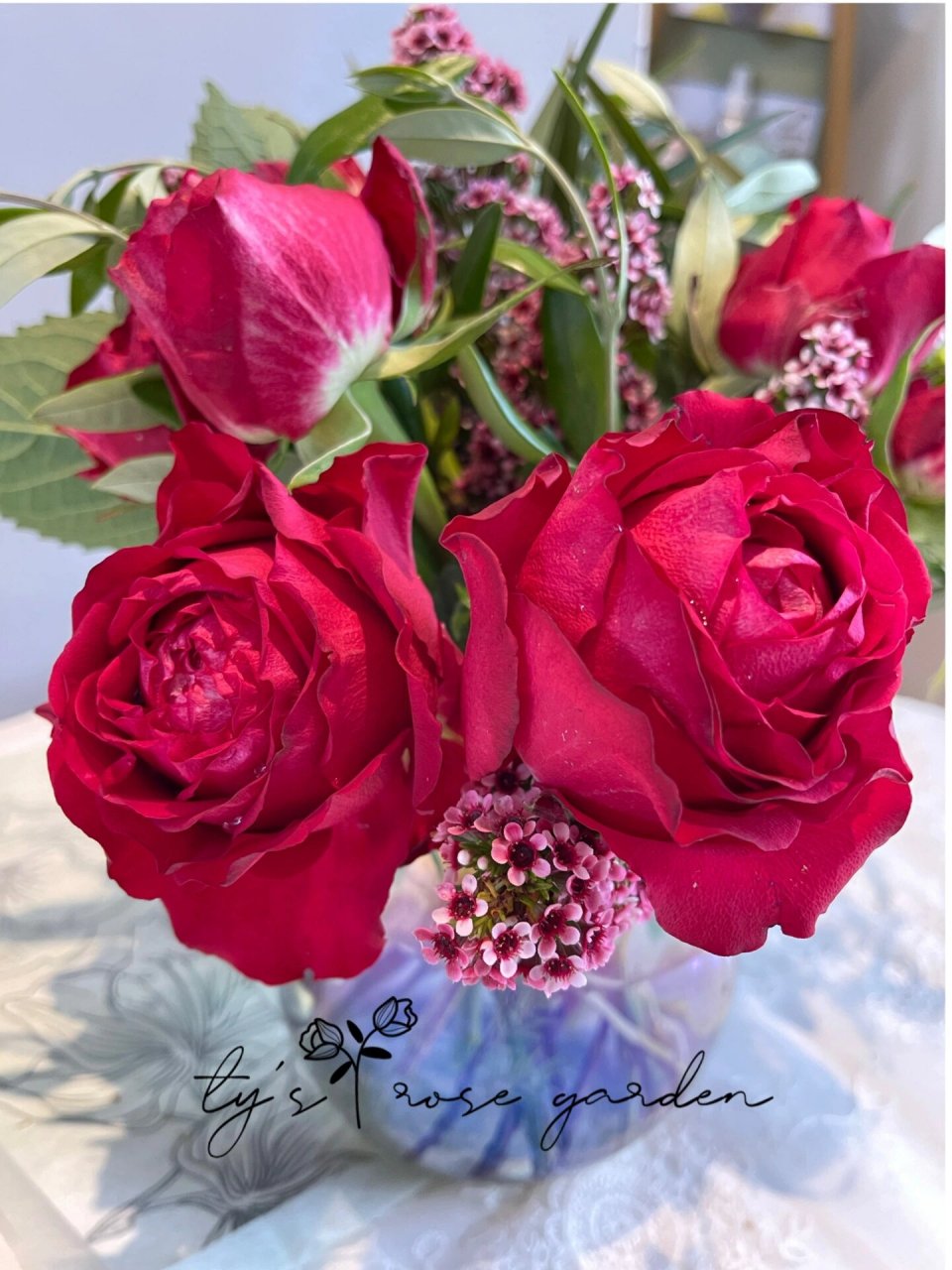 红色切花月季德古拉之吻(draculas kiss) 这款红色切花来自