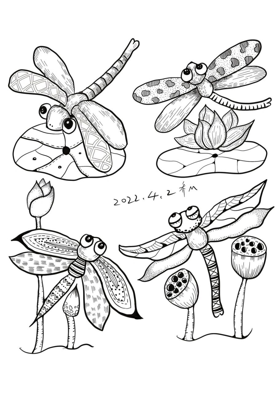 荷花上的蜻蜓画法图片