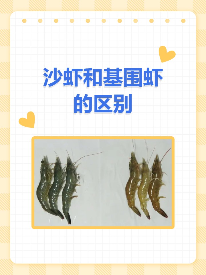 沙虾和基围虾的区别? 沙虾和基围虾,虽然都是虾,但区别不小哦!