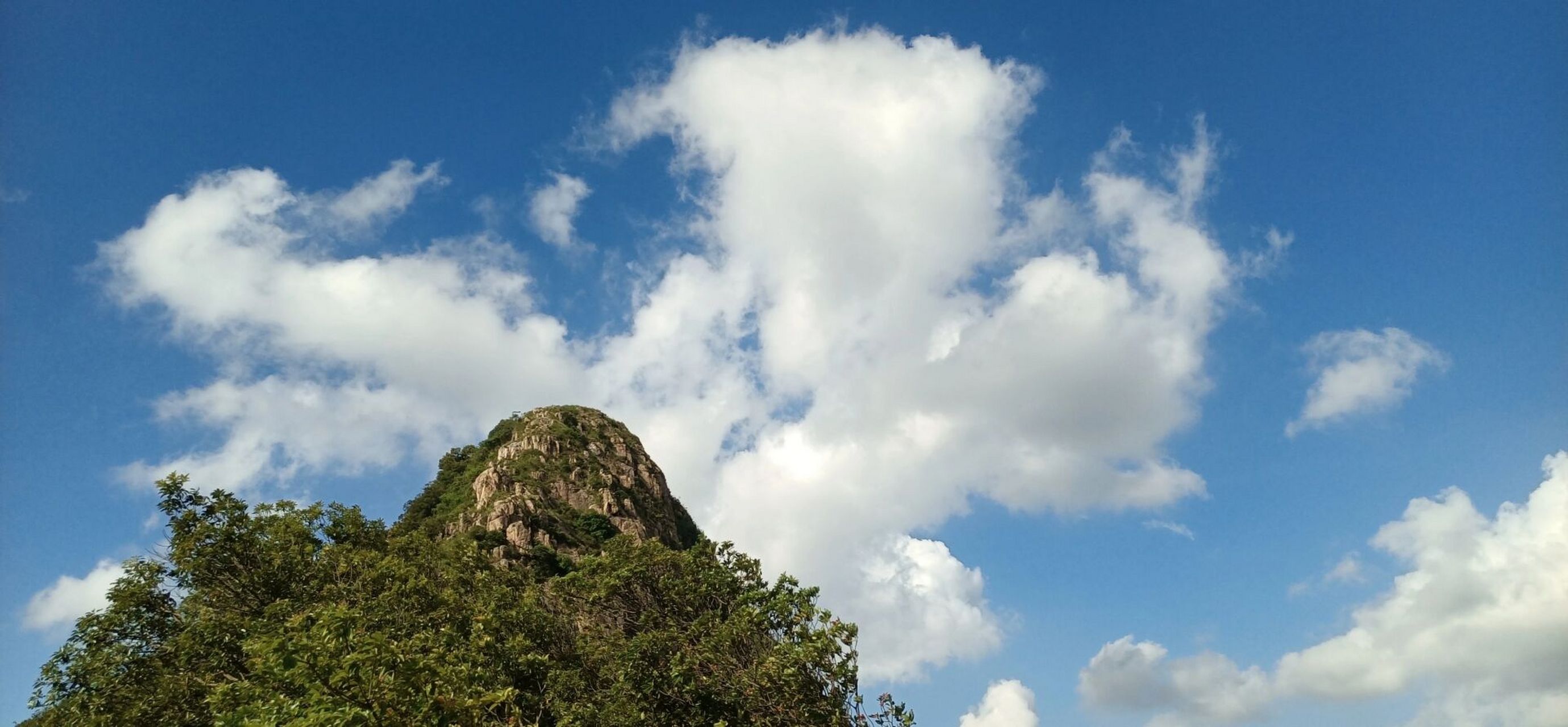 中山神湾丫髻山 出门晒太阳