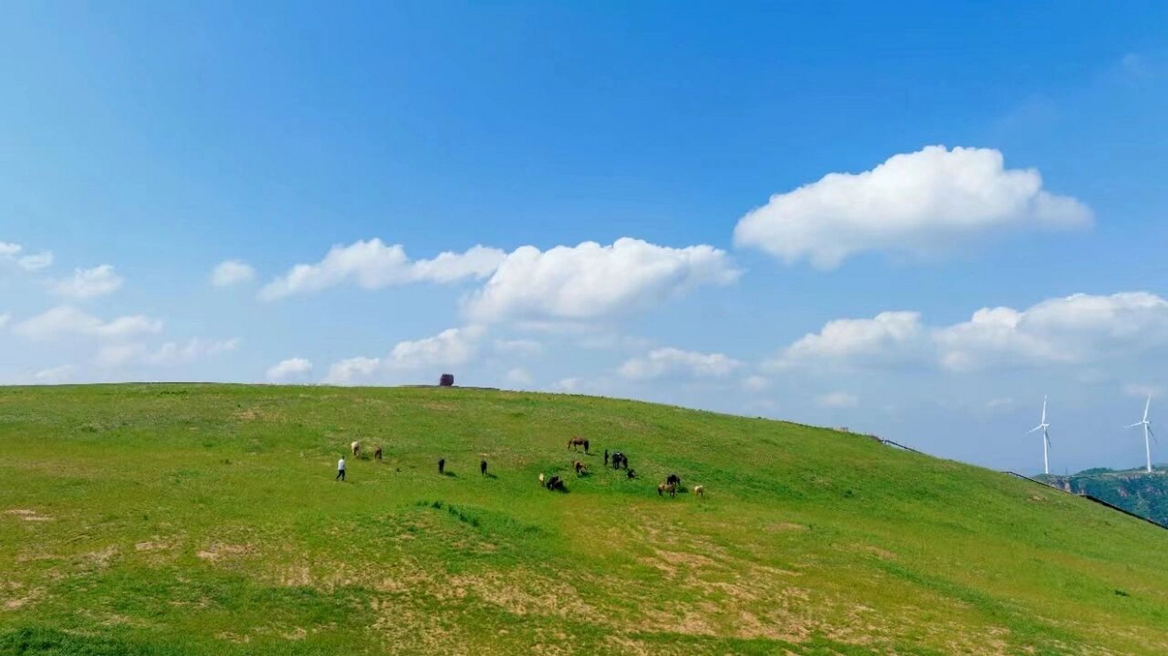 的高山草原98 小马高原位于河南省郑州市新密市伏羲山三泉湖景区