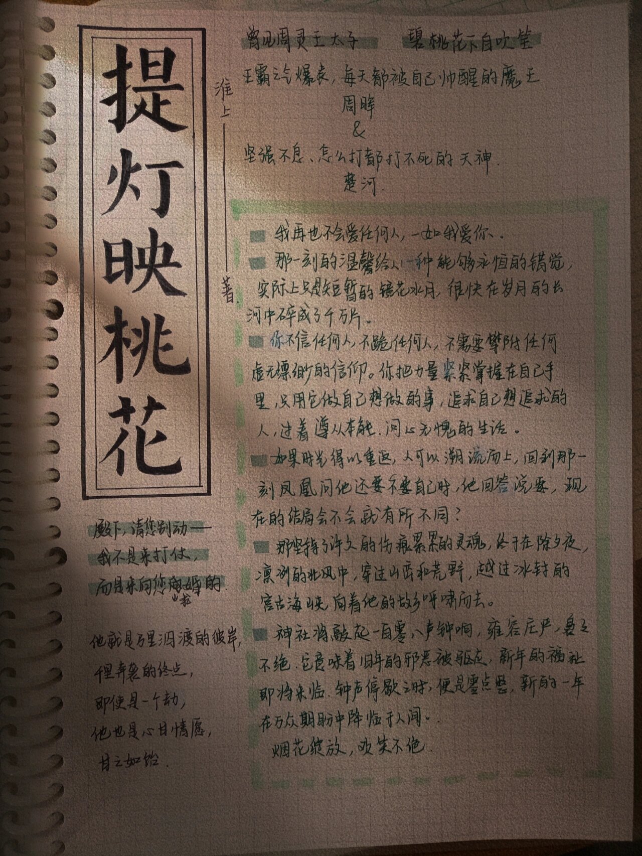 手写摘抄|提灯映桃花 太喜欢周晖的沙雕和楚河的傲娇了