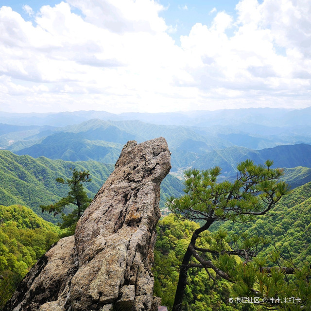 王顺山国家森林公园图片