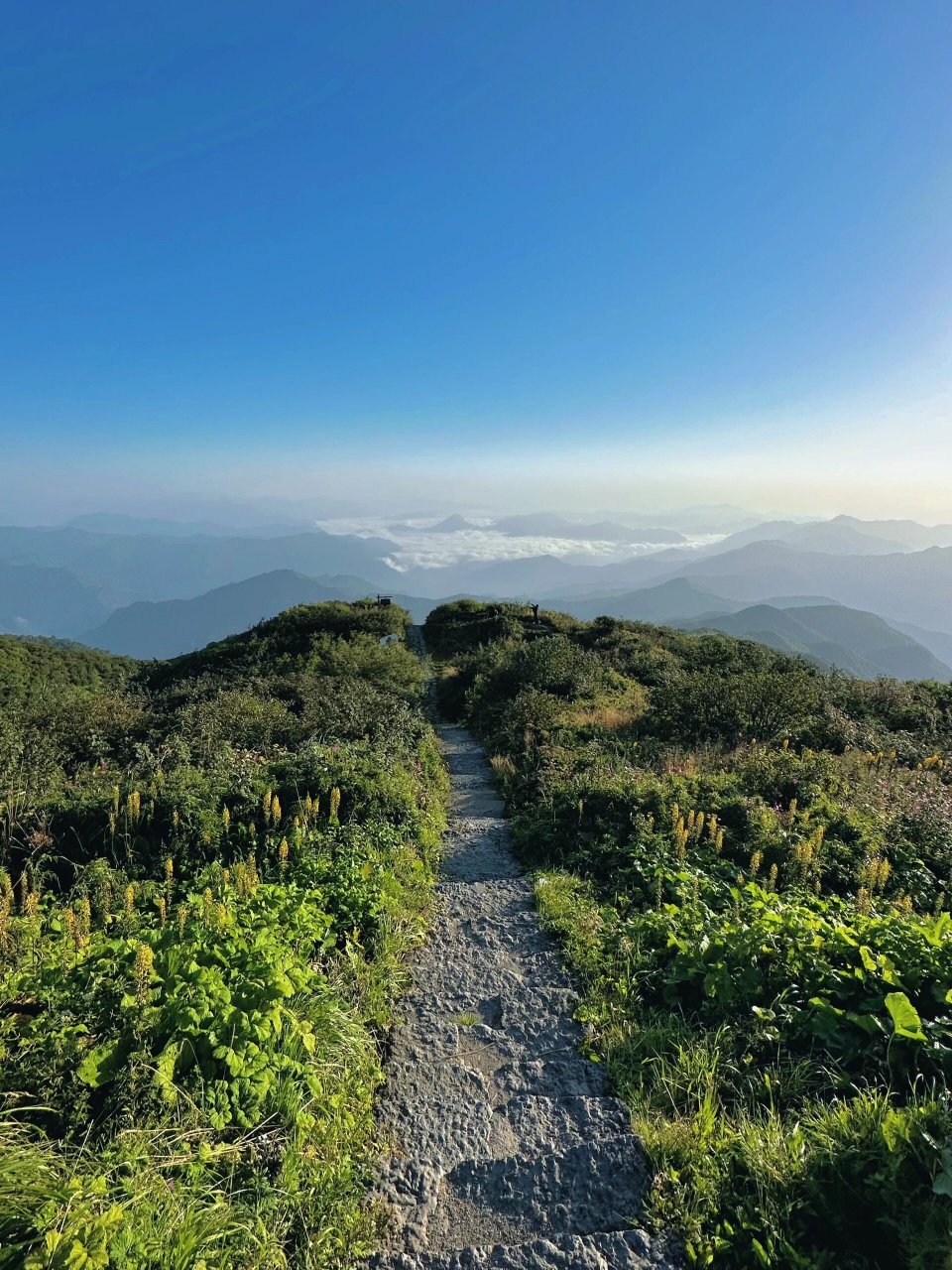 绵阳千佛山风景区攻略图片