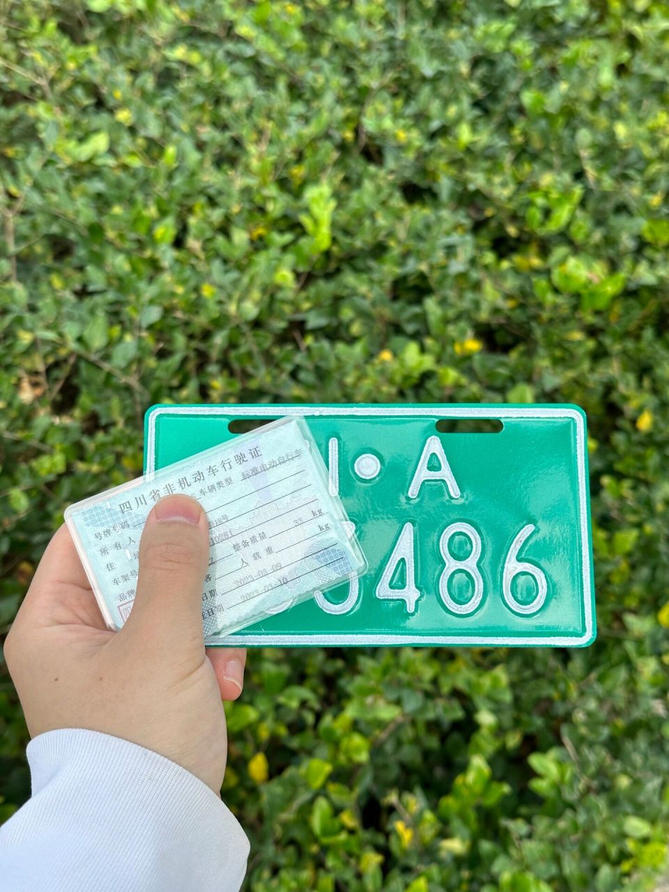 成都电动自行车网上申请牌照,很简单6015 时隔多年,终于给车子上