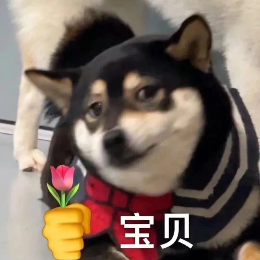 撩妹表情包