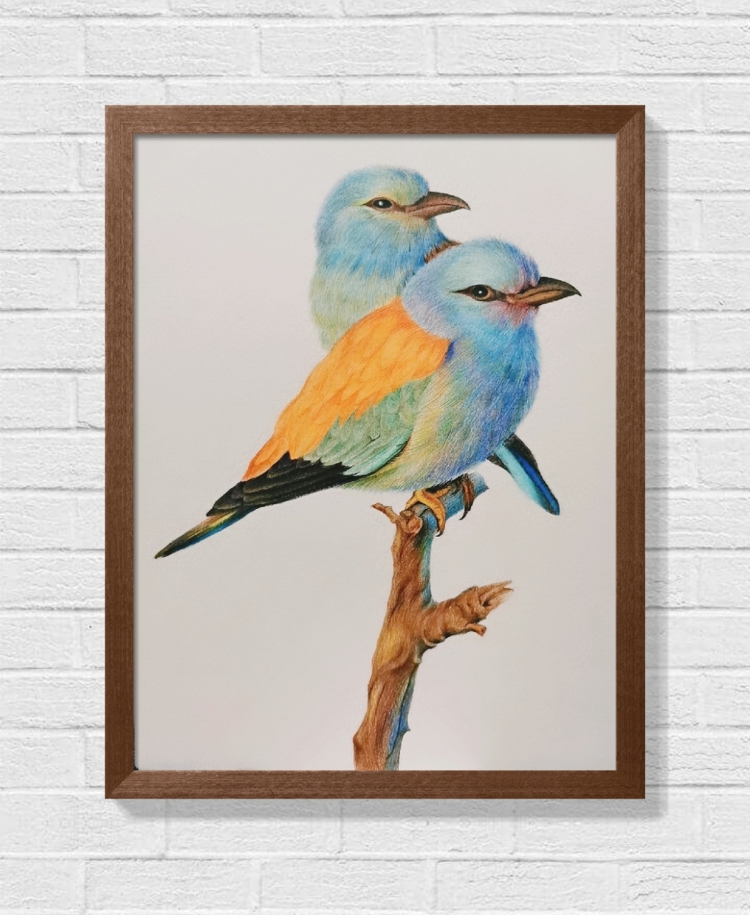 彩铅画 | 一对小鸟90  含详细教程步骤图 画彩铅作品太需要耐心了