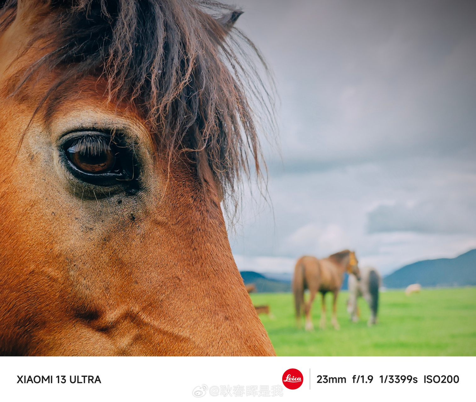 小米# 这马也太帅了吧小米公司 @雷军02