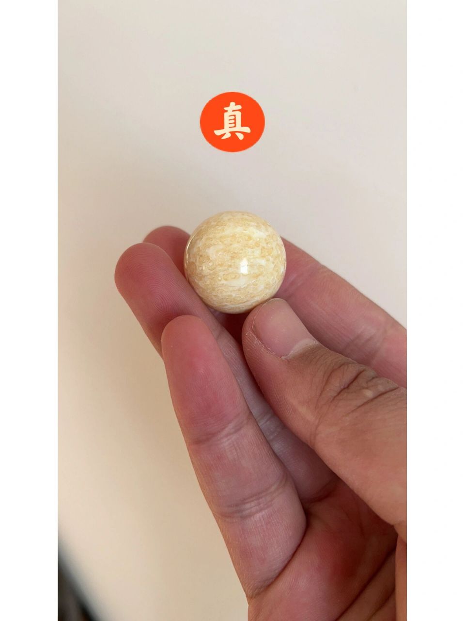 虬角满脑鉴别的小技巧,快来看 一,首先要看花纹是否自然流畅 二,满脑