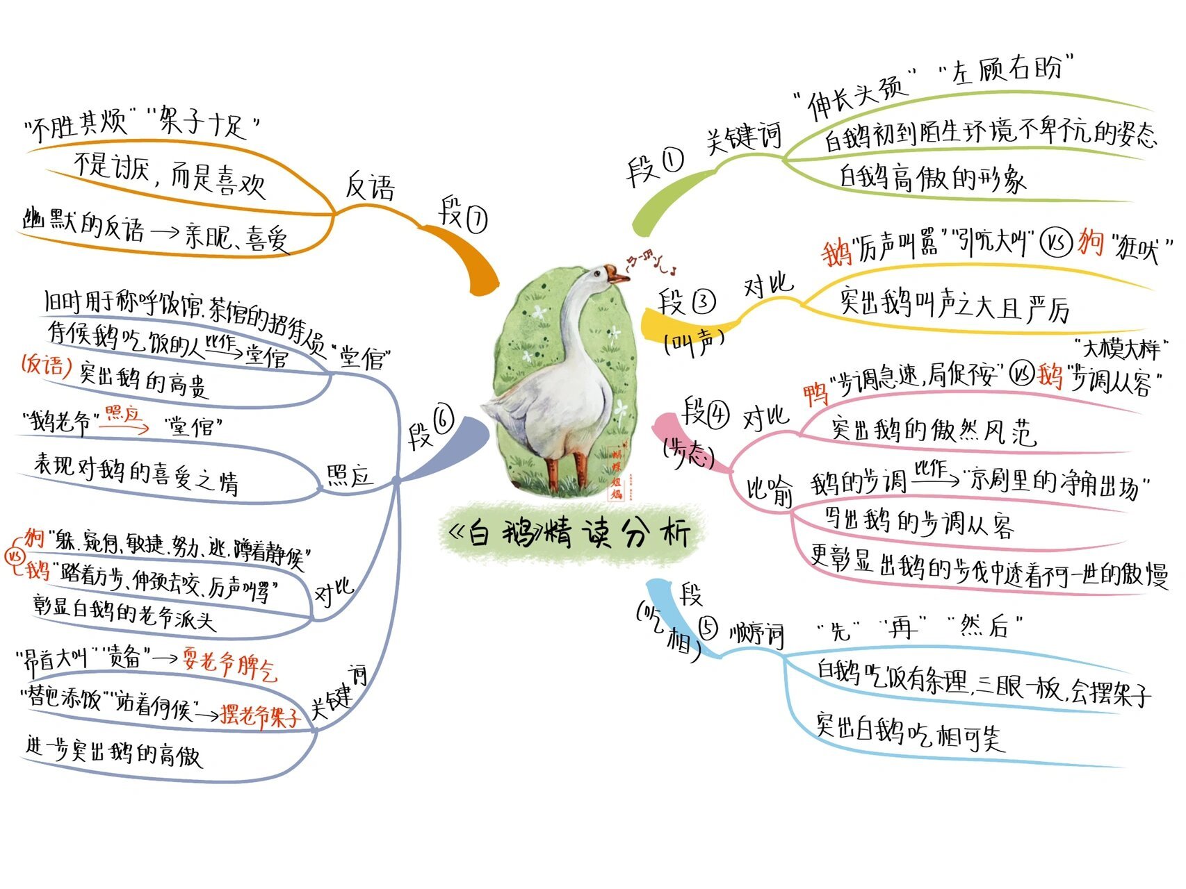 白鹅怎么画?思维导图图片