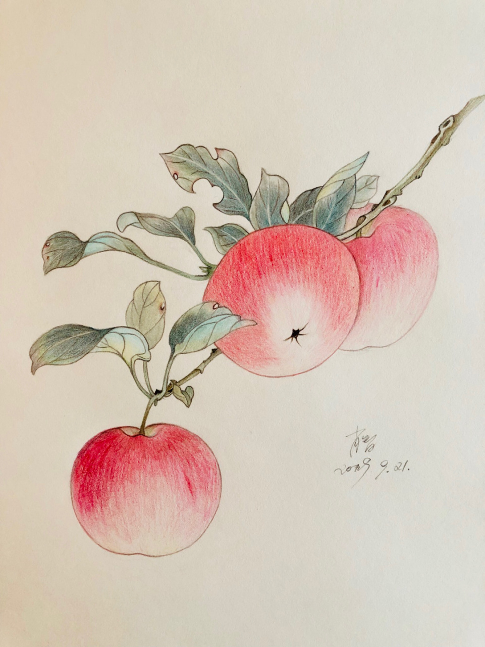 编号293临摹 擦纸笔 a3素描纸 辉柏嘉60色水溶性红盒彩铅,所用色号