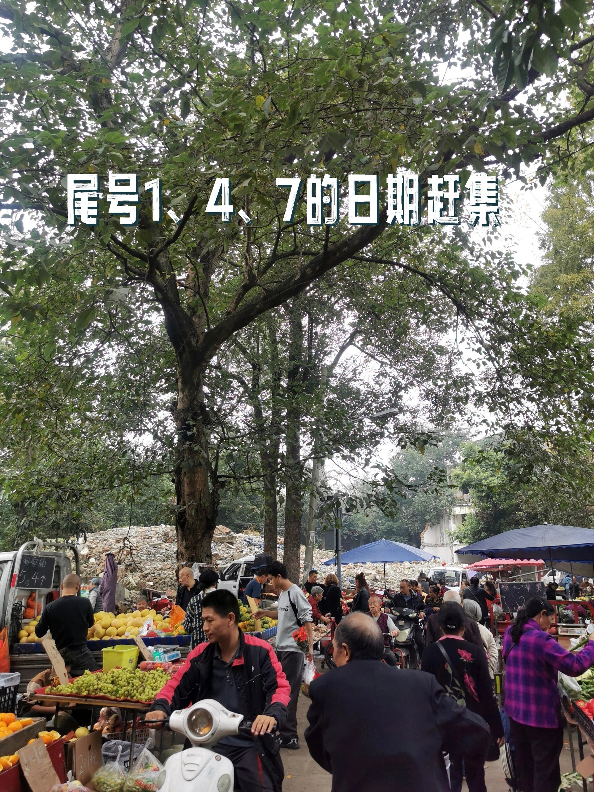 天回镇老街赶集,买菜这件好玩的事情 天回镇赶集,从小时候就开启了