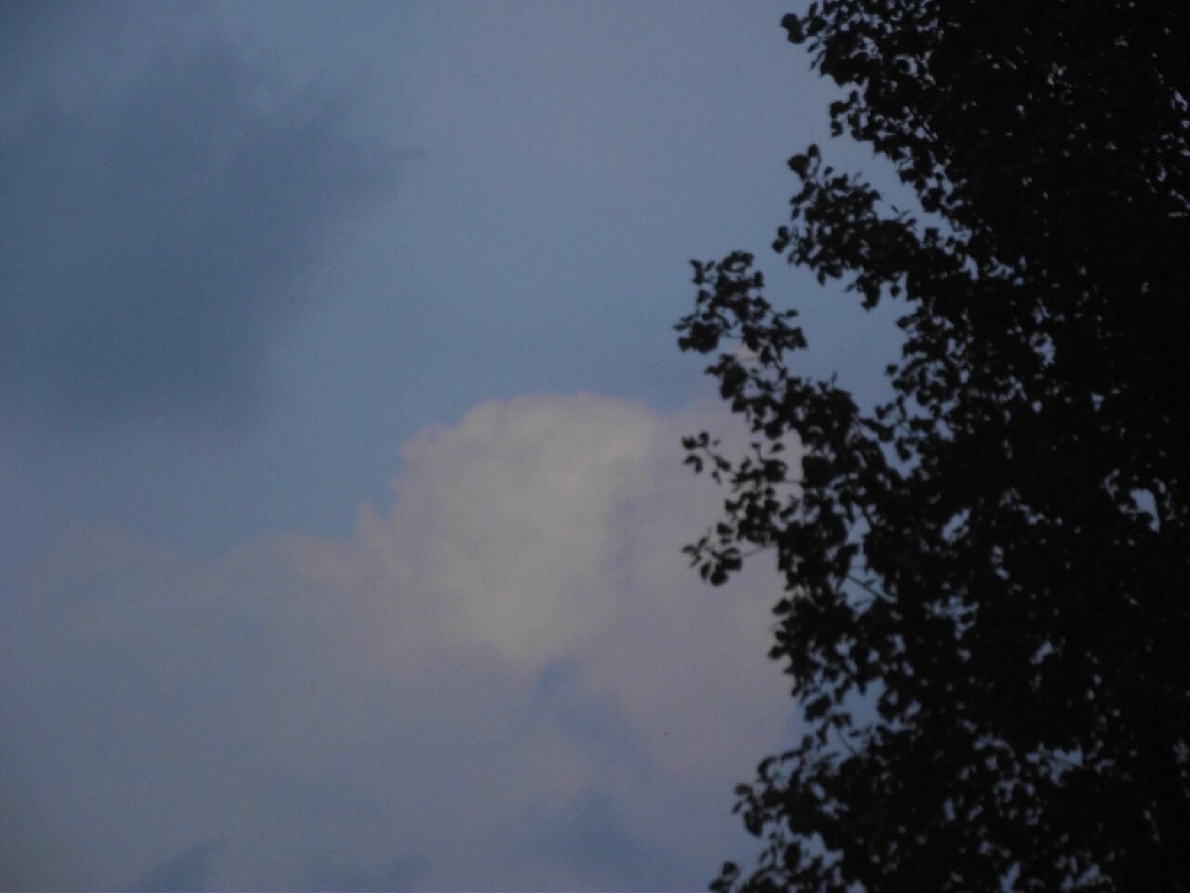 富士s1770 再来一波直出图