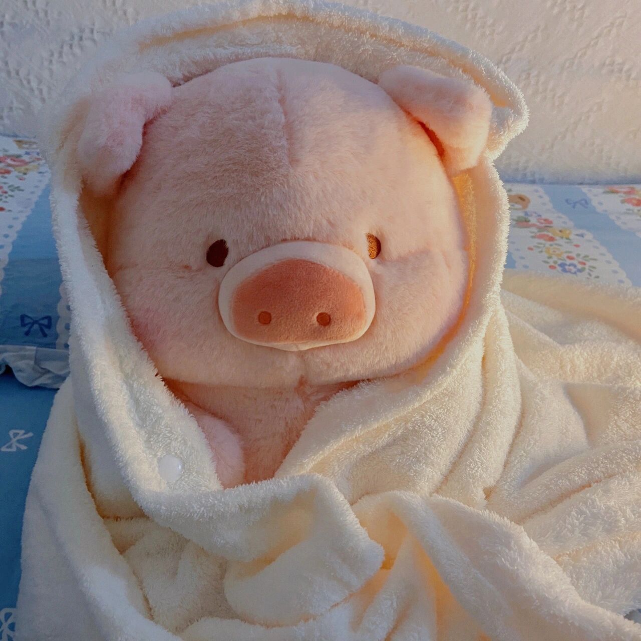 可爱猪猪的表情包 把可爱表情分享给大家