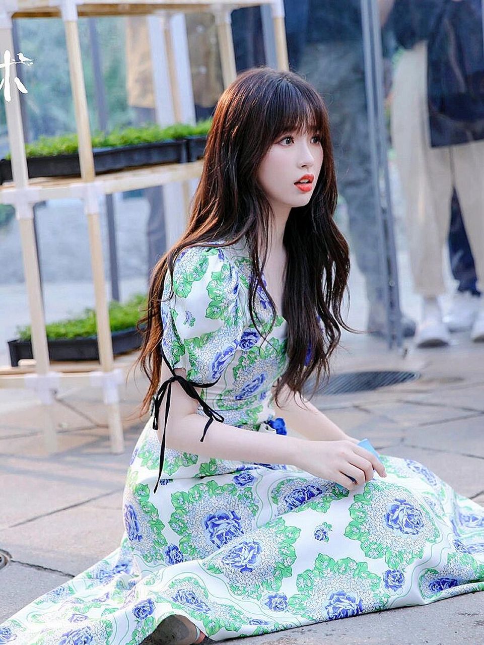 虞美人(虞书欣)高清壁纸分享