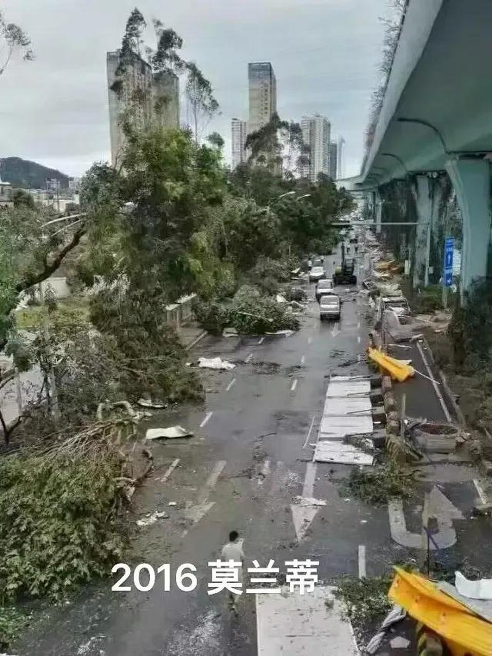大概是16年莫兰蒂台风造成的灾害太严重了,大家都心有余悸,这次旅居的