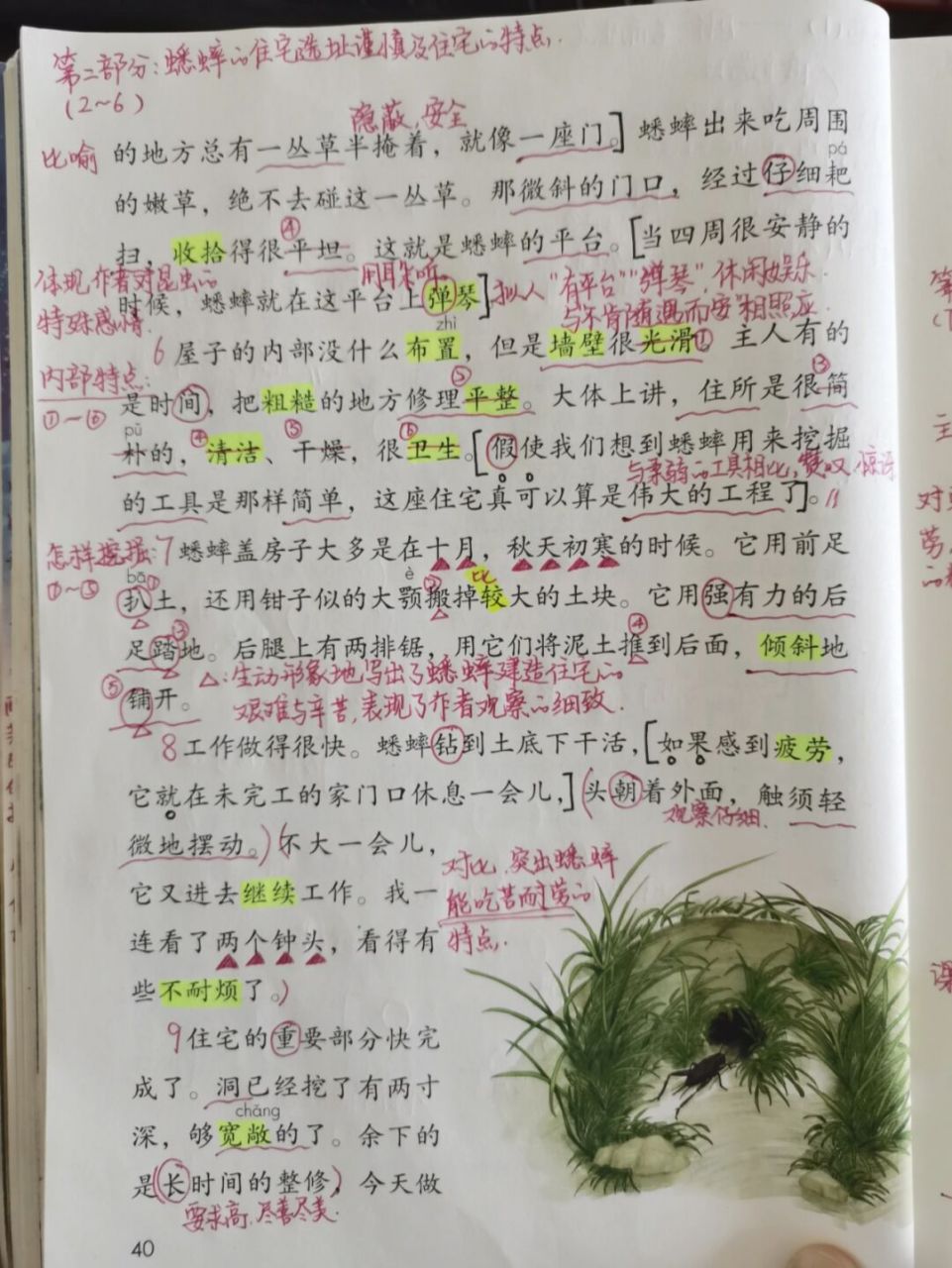 蟋蟀的住宅提问题图片